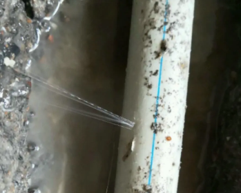 巴青卫生间测漏水多少钱