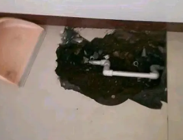 巴青卫生间测漏水多少钱